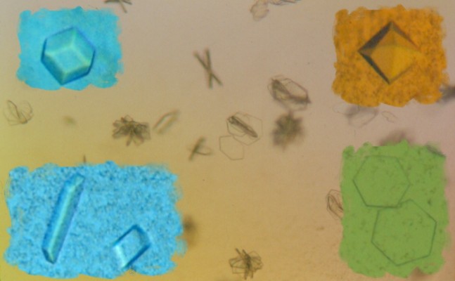 Selection of CPE crystals