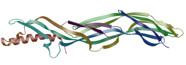 A picture of epsilon-prototoxin